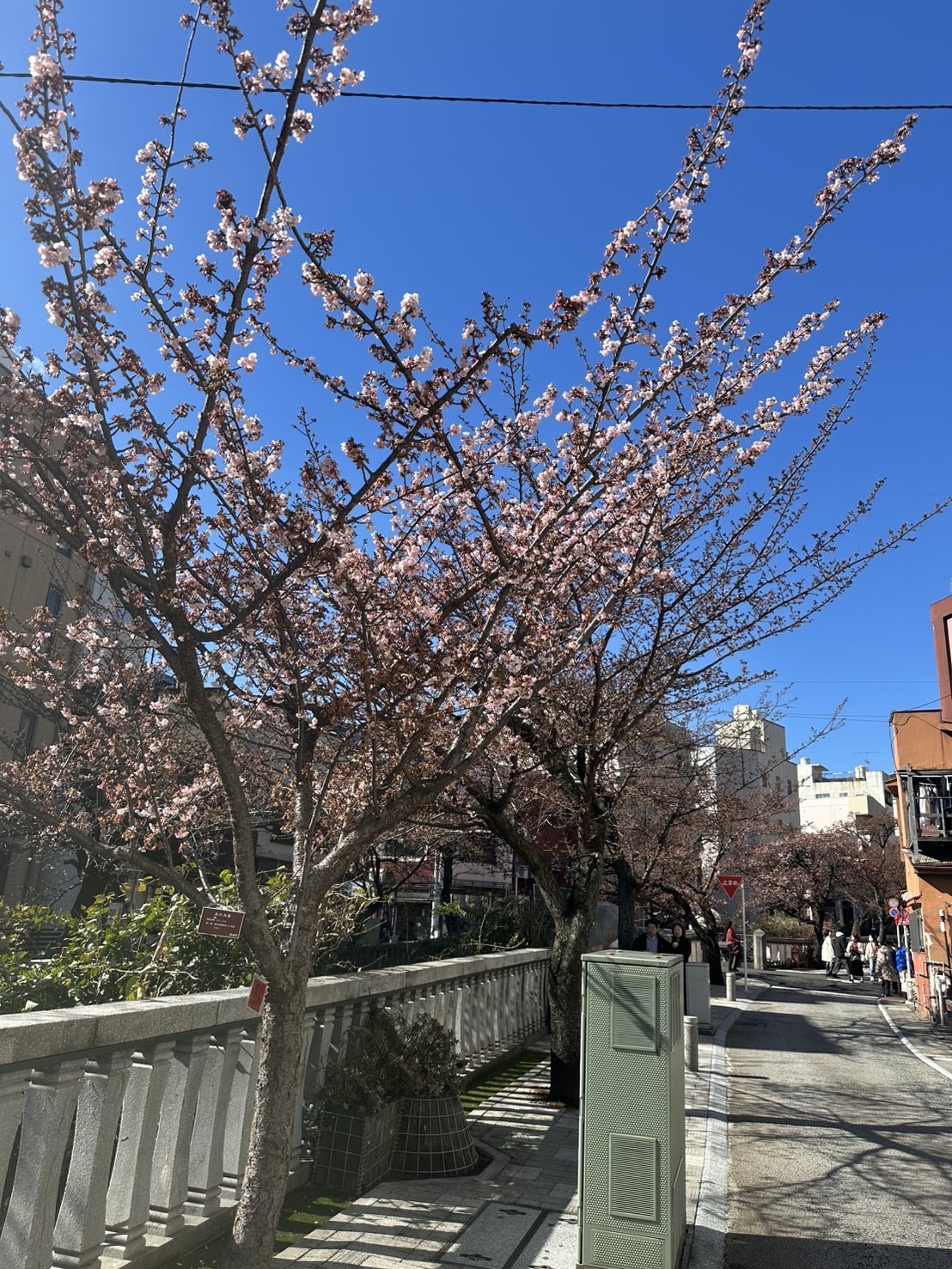 Images 熱海 天空のホテル 夢寿庵