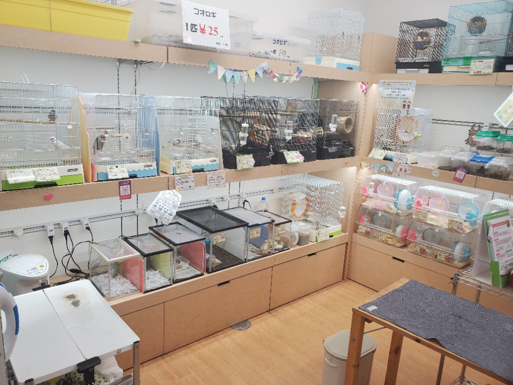 Images ペッツランド菊陽店