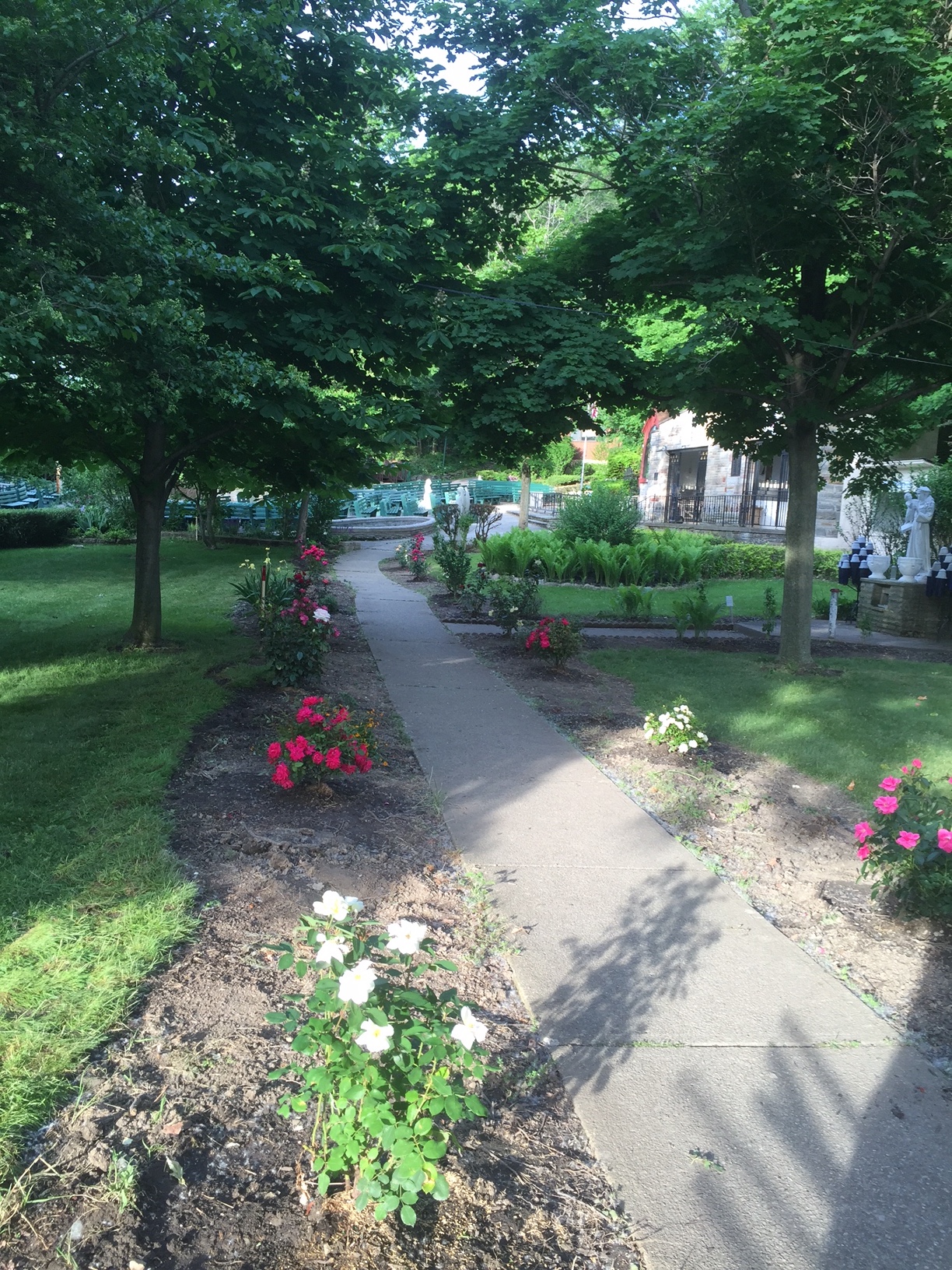 Our Lady of Lourdes Shrine Image