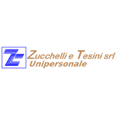 Zucchelli e Tesini Logo