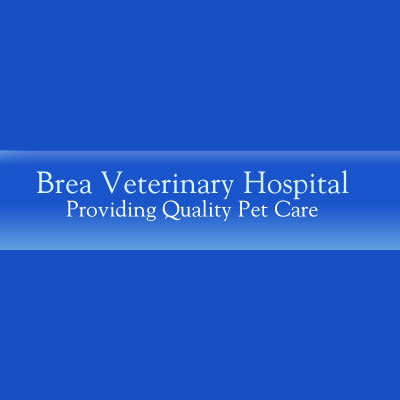 Brea Veterinary Hospital Logo