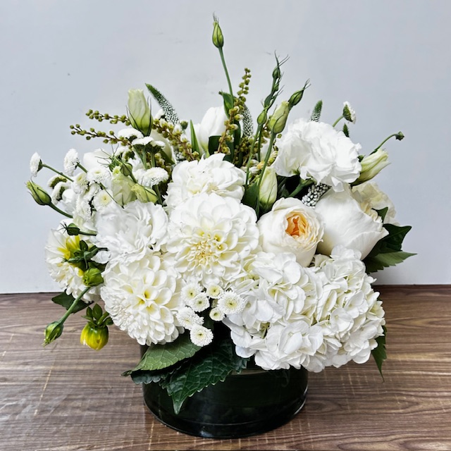 Images Jane's Roses & Flowers