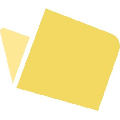 Verus Forensic Logo