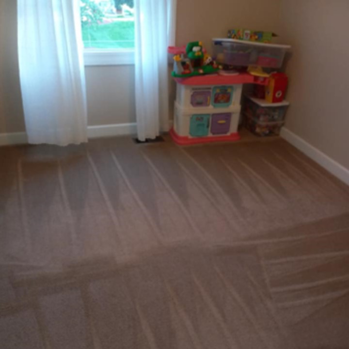 Image 5 | Simply Spotless Carpet & Upholstery Cleaning  LLC
