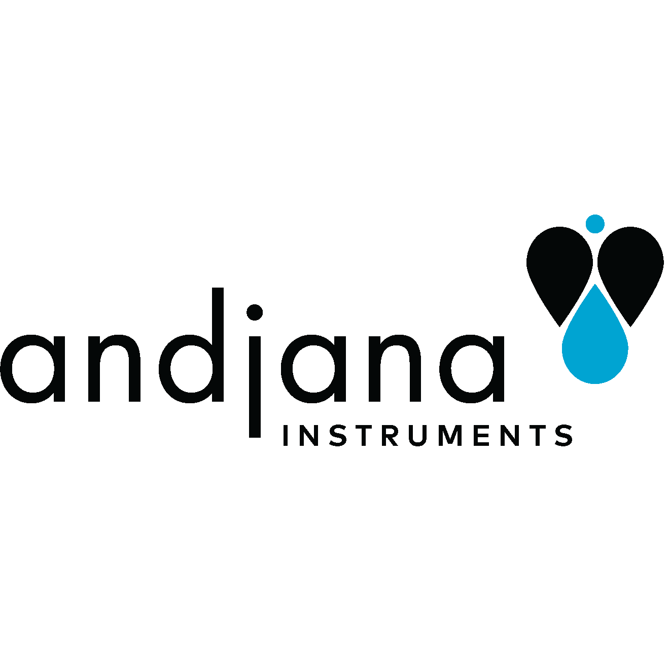 Logo Andjana Instruments UG