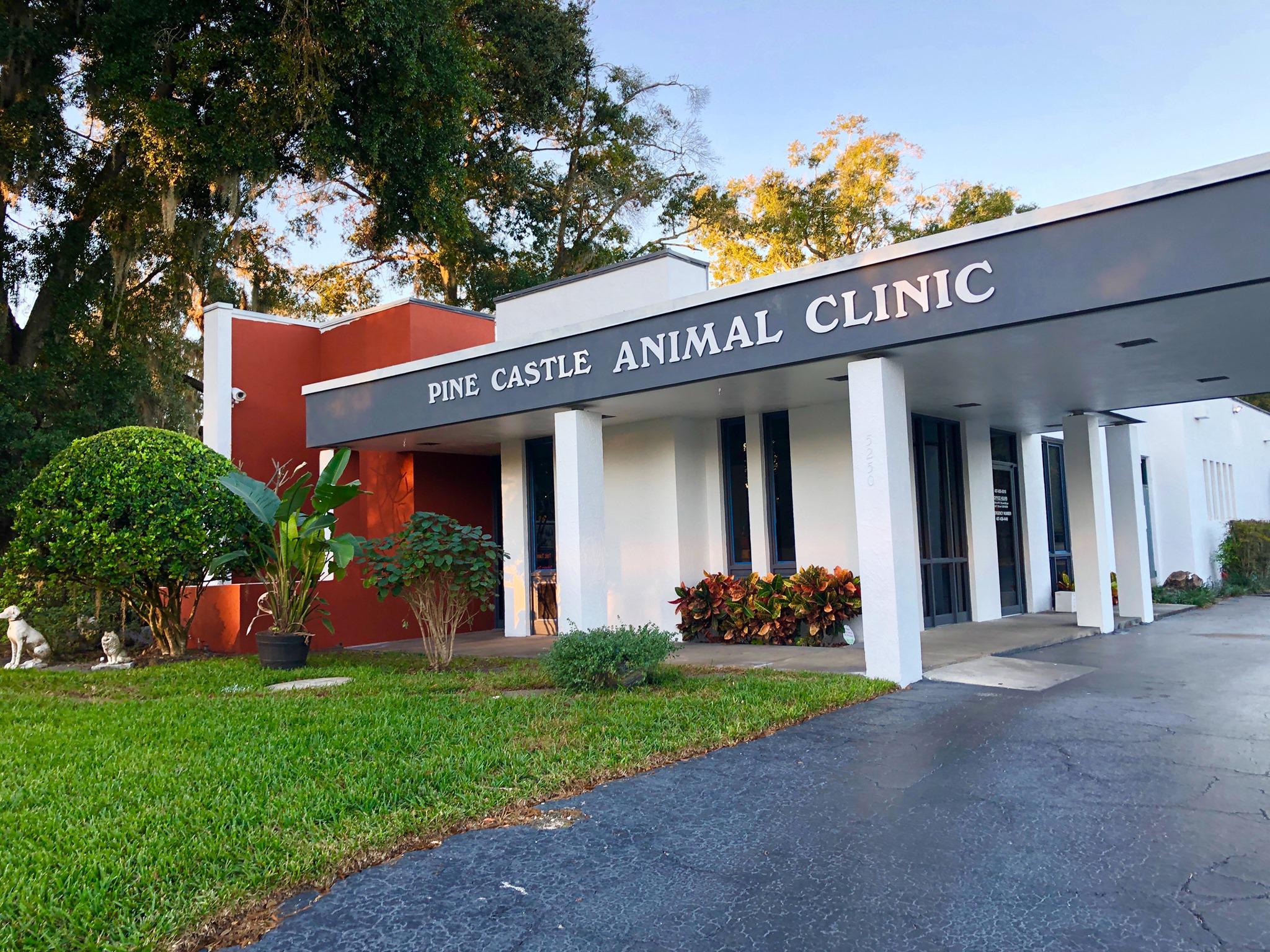 Pine Castle Animal Clinic Photo