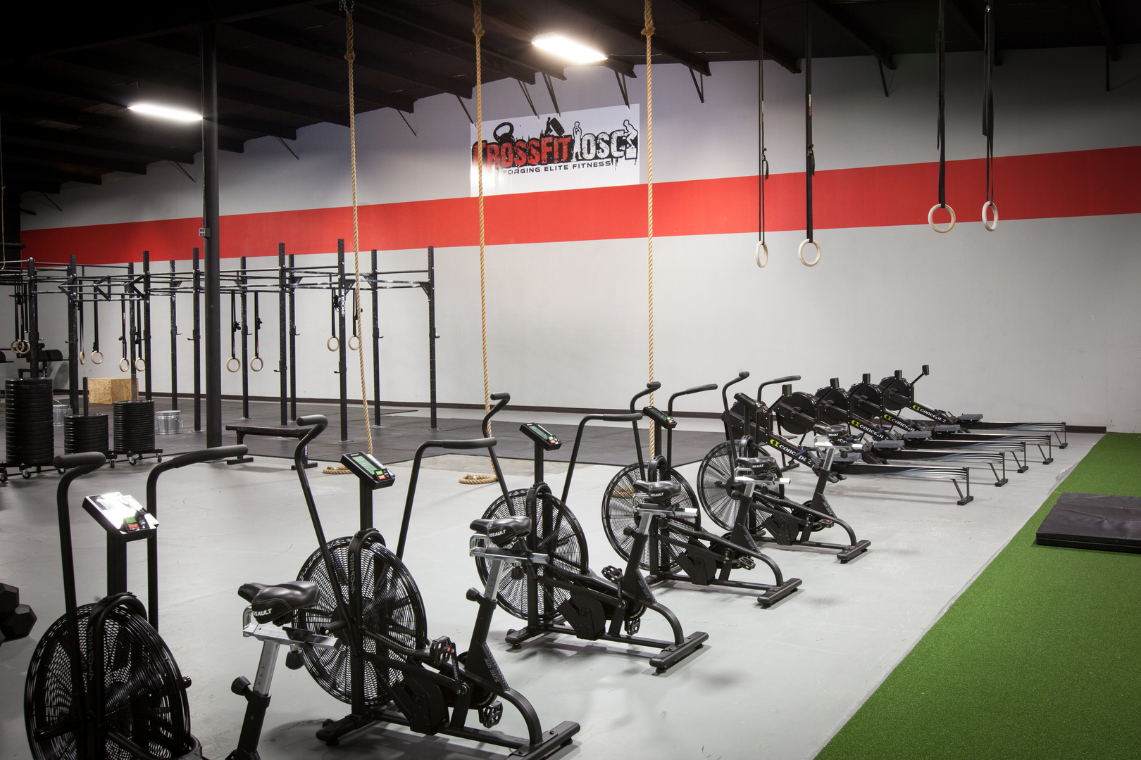 Canning Line Equipment: Crossfit Equipment Store Near Me