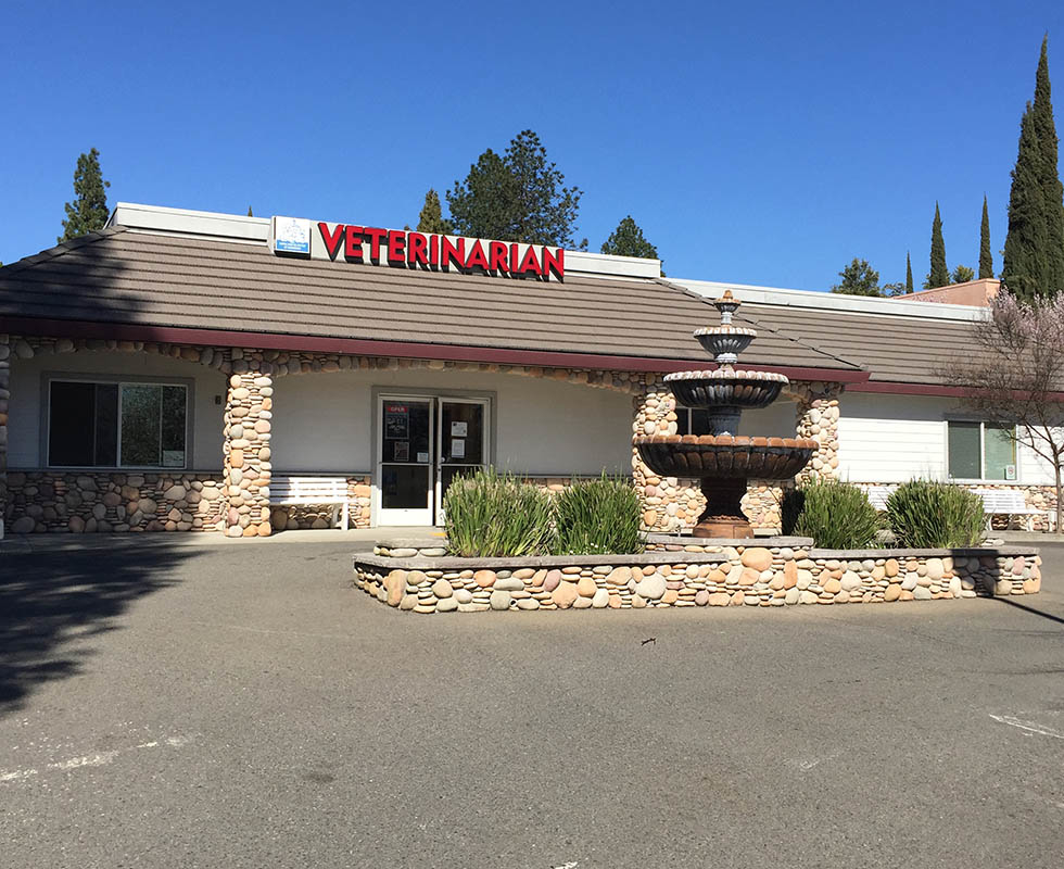 Welcome to VCA Sunset Animal Medical Center! VCA Sunset Animal Medical Center Fair Oaks (916)967-7768