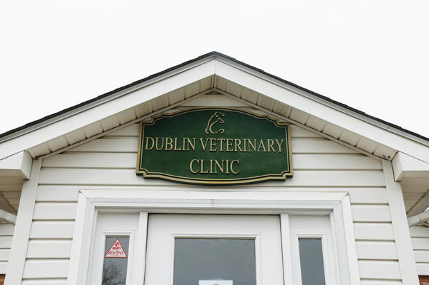 Images Dublin Veterinary Hospital