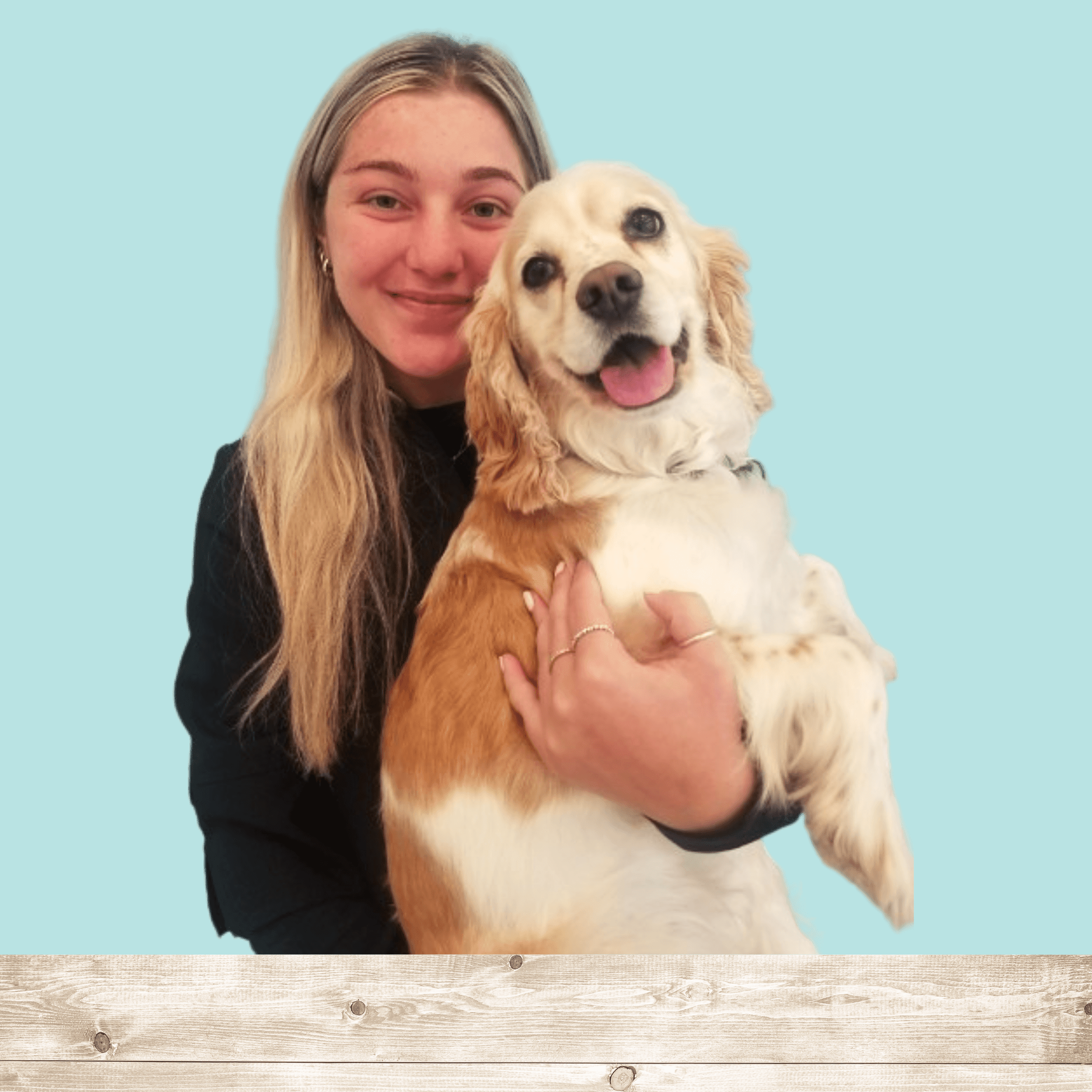 Images Vet & Cie Brossard | Vétérinaire indépendant & québécois, Toilettage, Parc canin, Urgences chiens et chats | Montérégie