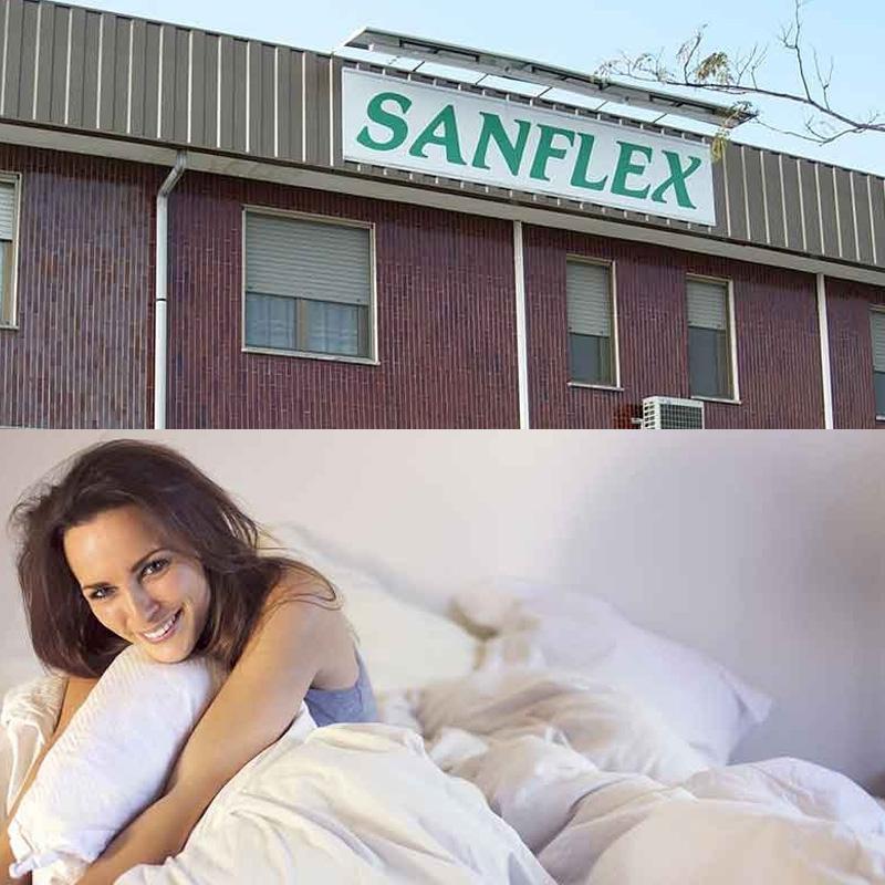 Images Sanflex