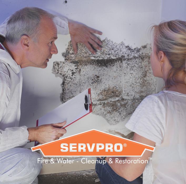 What would you do if you discovered mold in your commercial building?

(Hint: Call SERVPRO!)