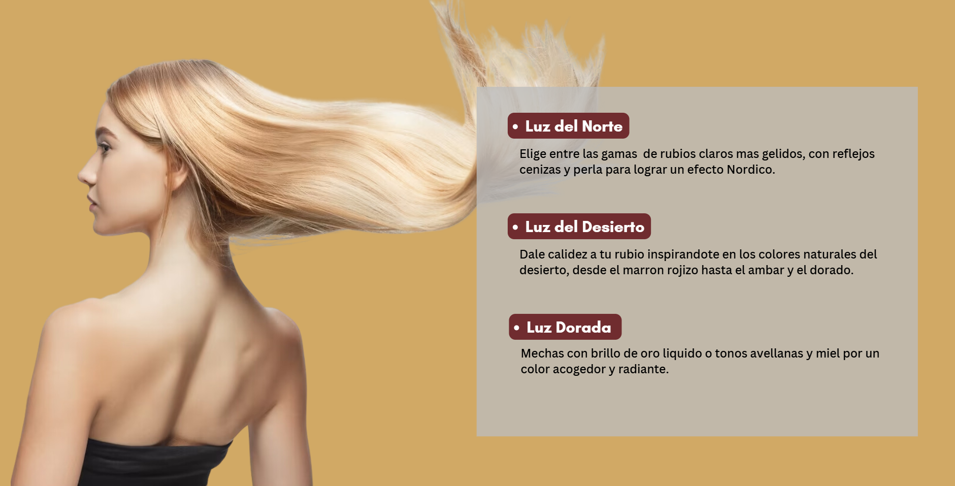 Images Armonic Estudio de Estilismo