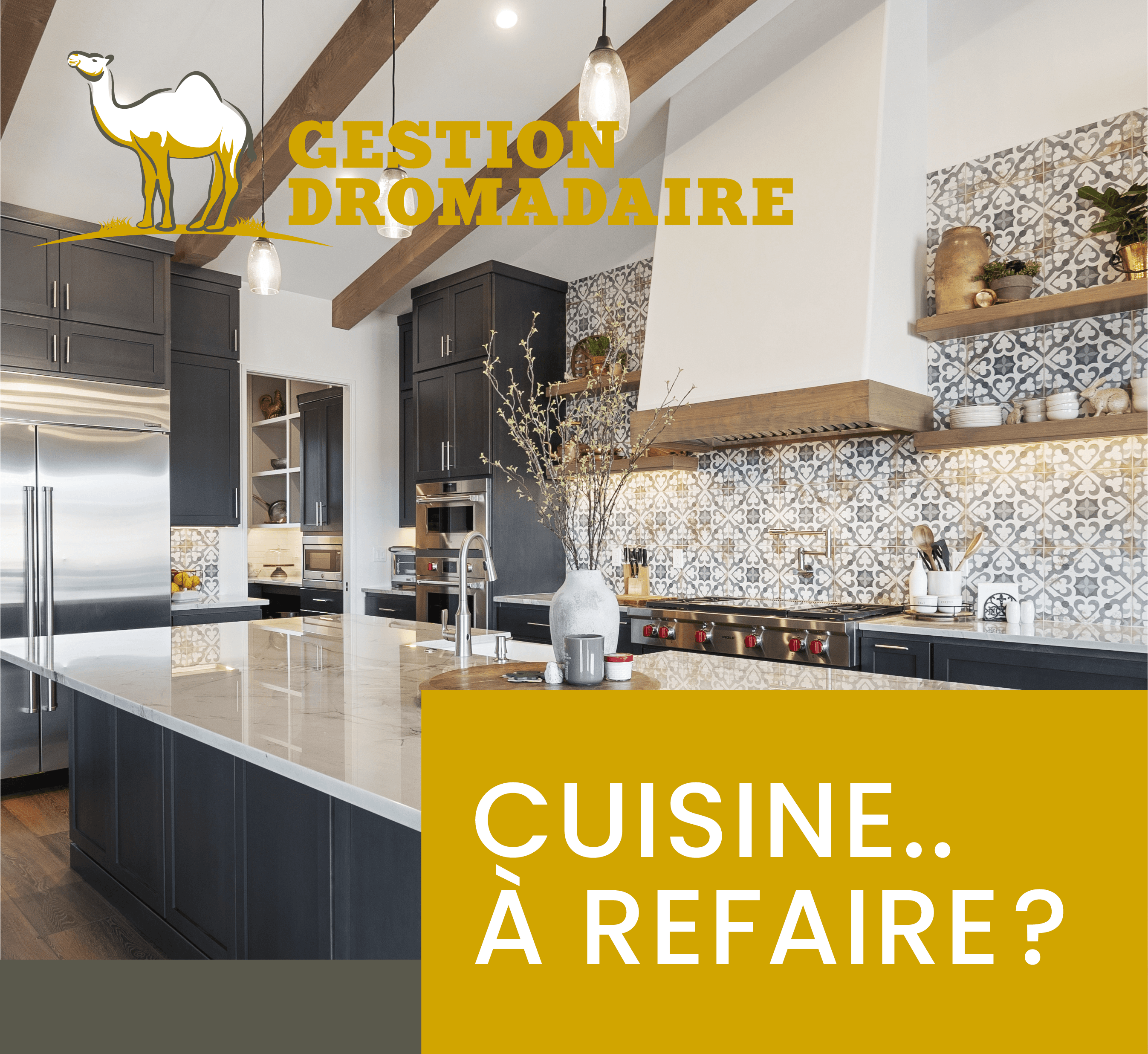 Images Gestion Dromadaire Inc