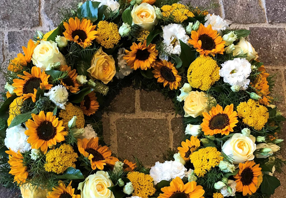 Bilder Lägere Blueme GmbH