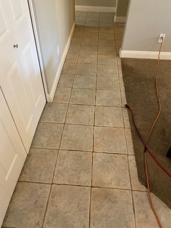 Images Cade's Carpet & Floor Care
