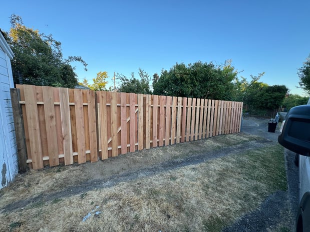 Images Tidy Beaver Fencing - Fence and Gate Contractor