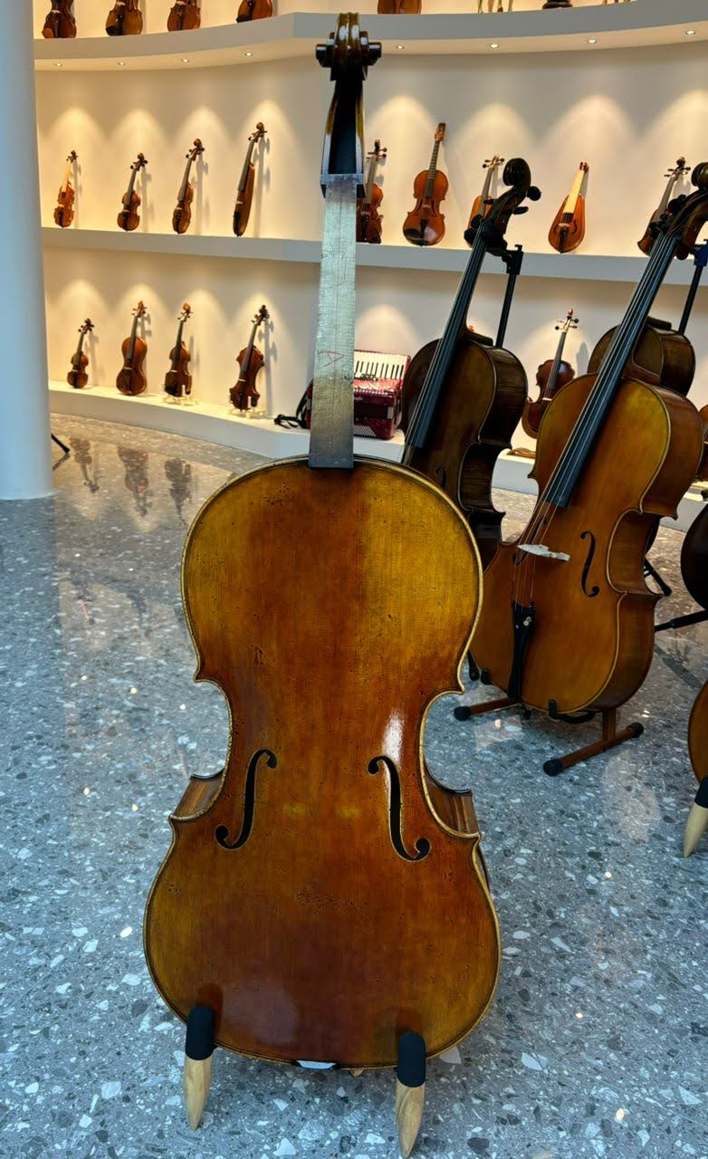 Images Arte de Luthier