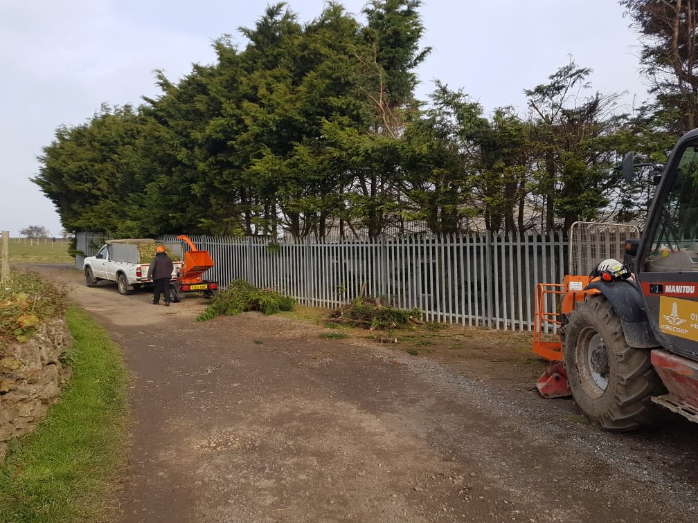Images Arb-Spec Tree Surgery & Fencing