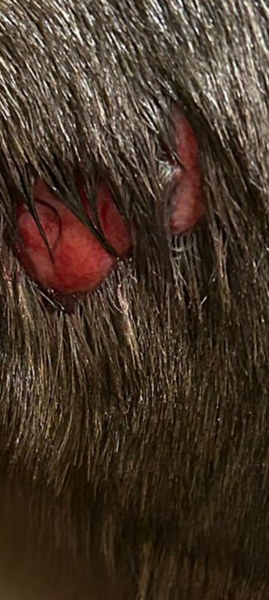 NANO Center CellCare therapie Bioresonanz Daniela Siegmund in Essen