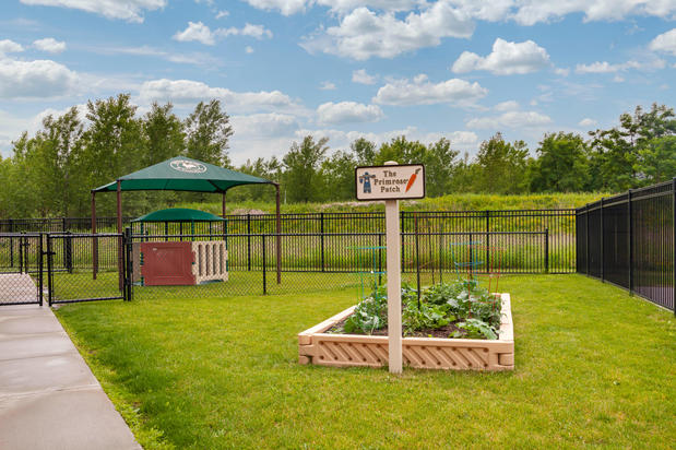 Images Primrose School of Middleton