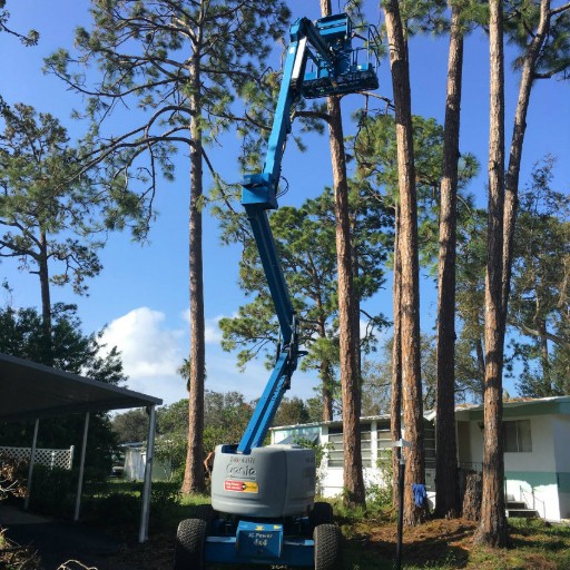 Aardvark Tree Services, LLC Photo