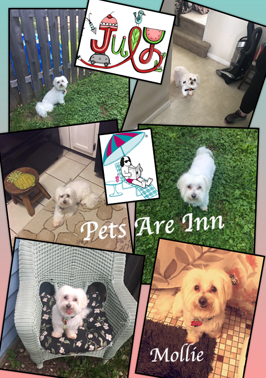 Images Pets Are Inn Bucks County