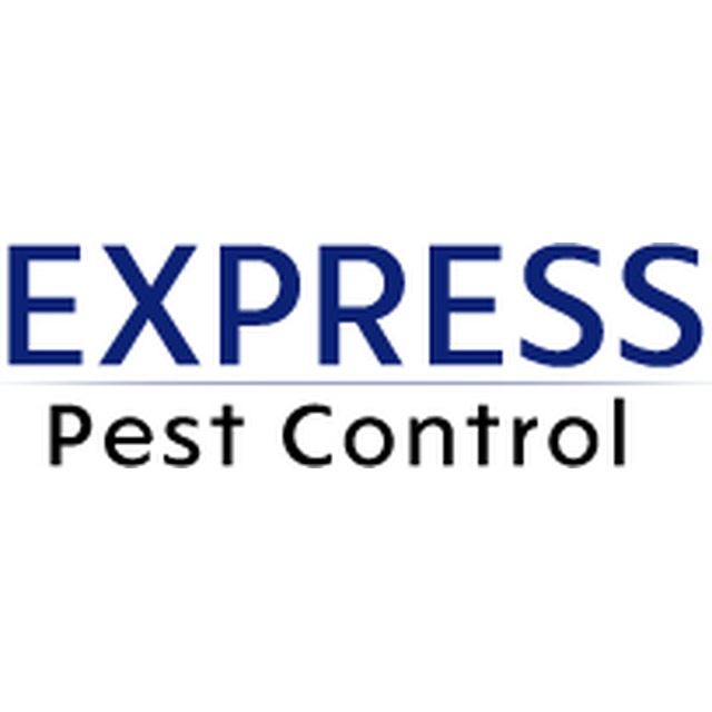 Express Pest Control Oswestry 07916 322280