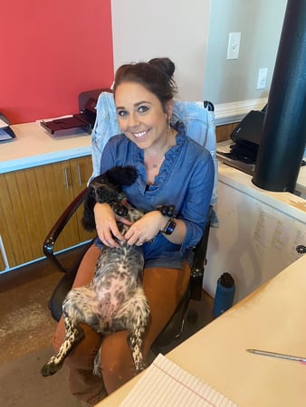 Images Stephen Gainous - State Farm Insurance Agent