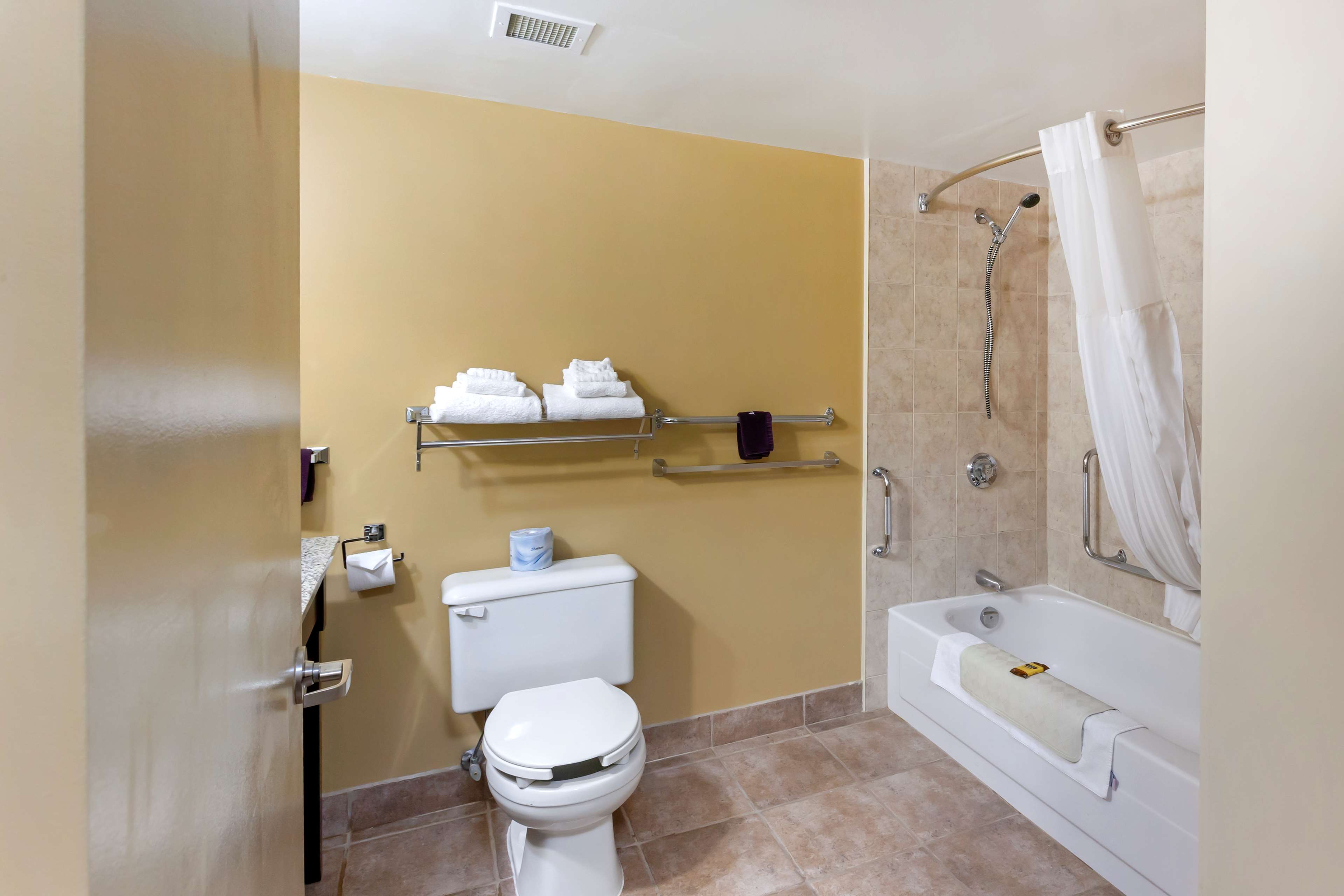 Best Western Plus Mariposa Inn & Conference Centre in Orillia: Accessible bathroom