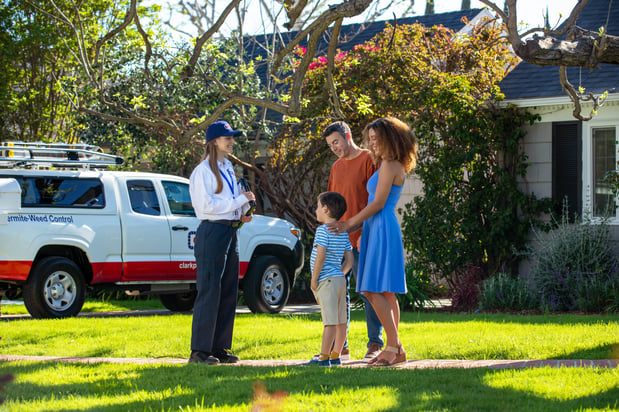 Images Clark Pest Control