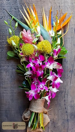 Images Harmonic Blooms
