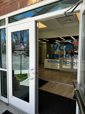 Images VCA Cottonwood Animal Hospital