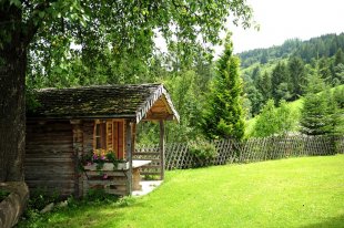 Bild 5 von Pension Wiesfleck