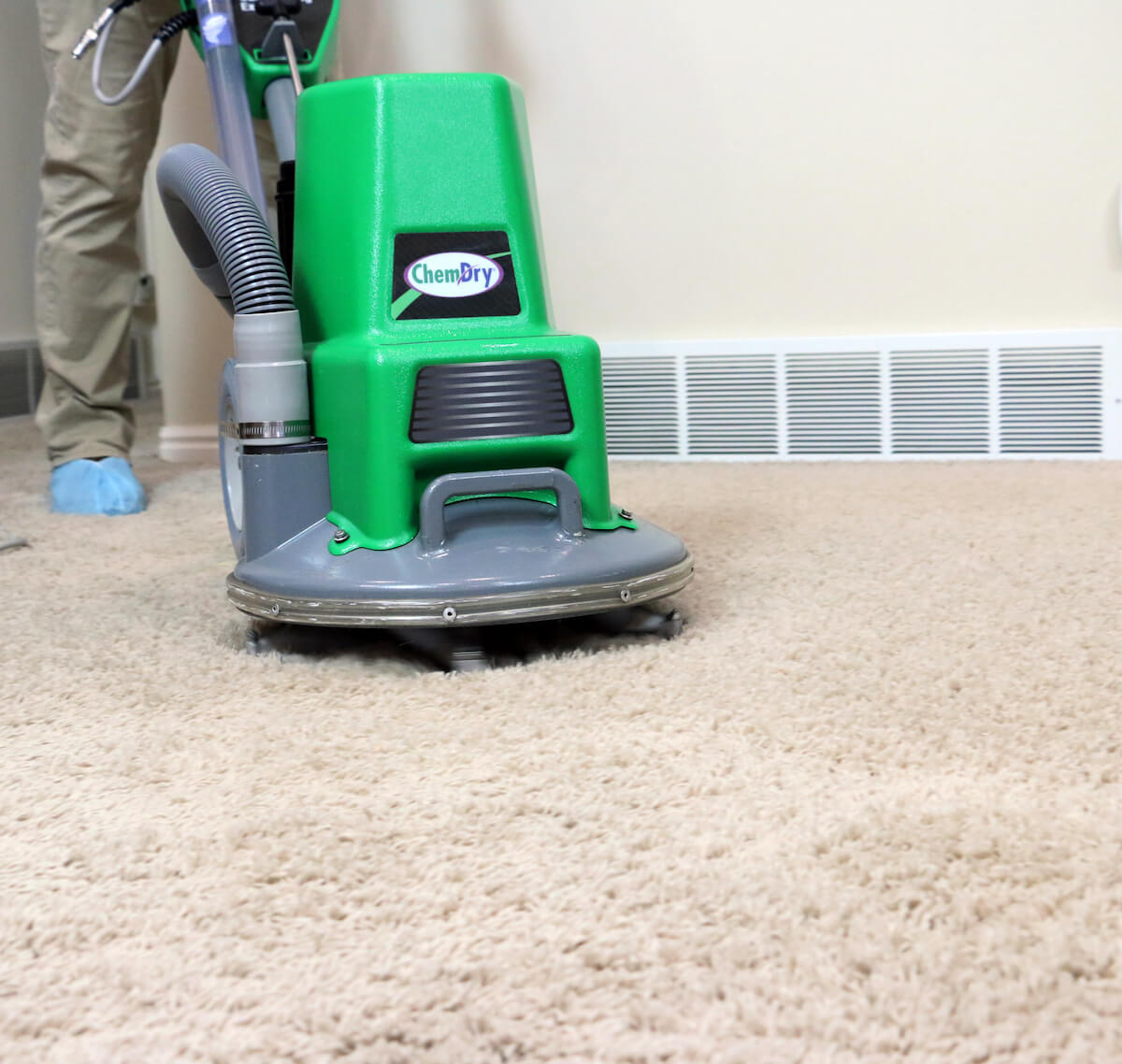 Home Carpet Cleaners in Raleigh, NC