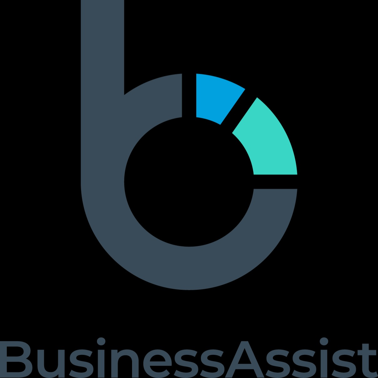 Business Assist - Digital Marketing Melbourne Logo