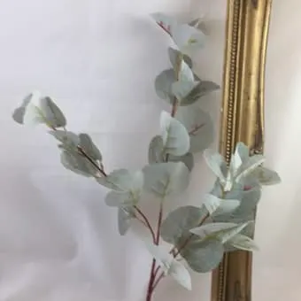 Images Village Green Wholesale Ltd