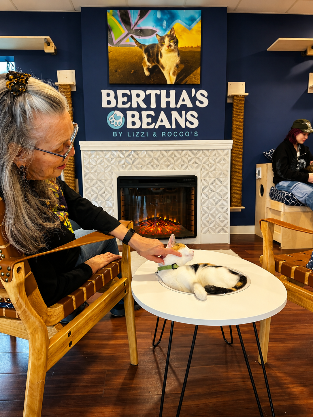 Relax at Bertha's Beans Cat Café as guests enjoy quiet moments with friendly resident cats in a cozy 