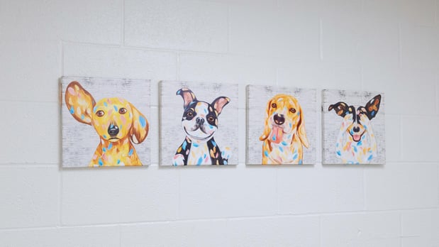 Images Solomon Veterinary Clinic