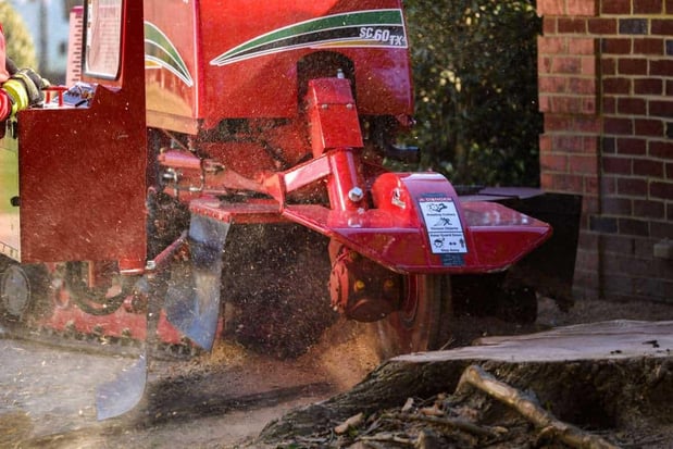Images Blazer Tree Service