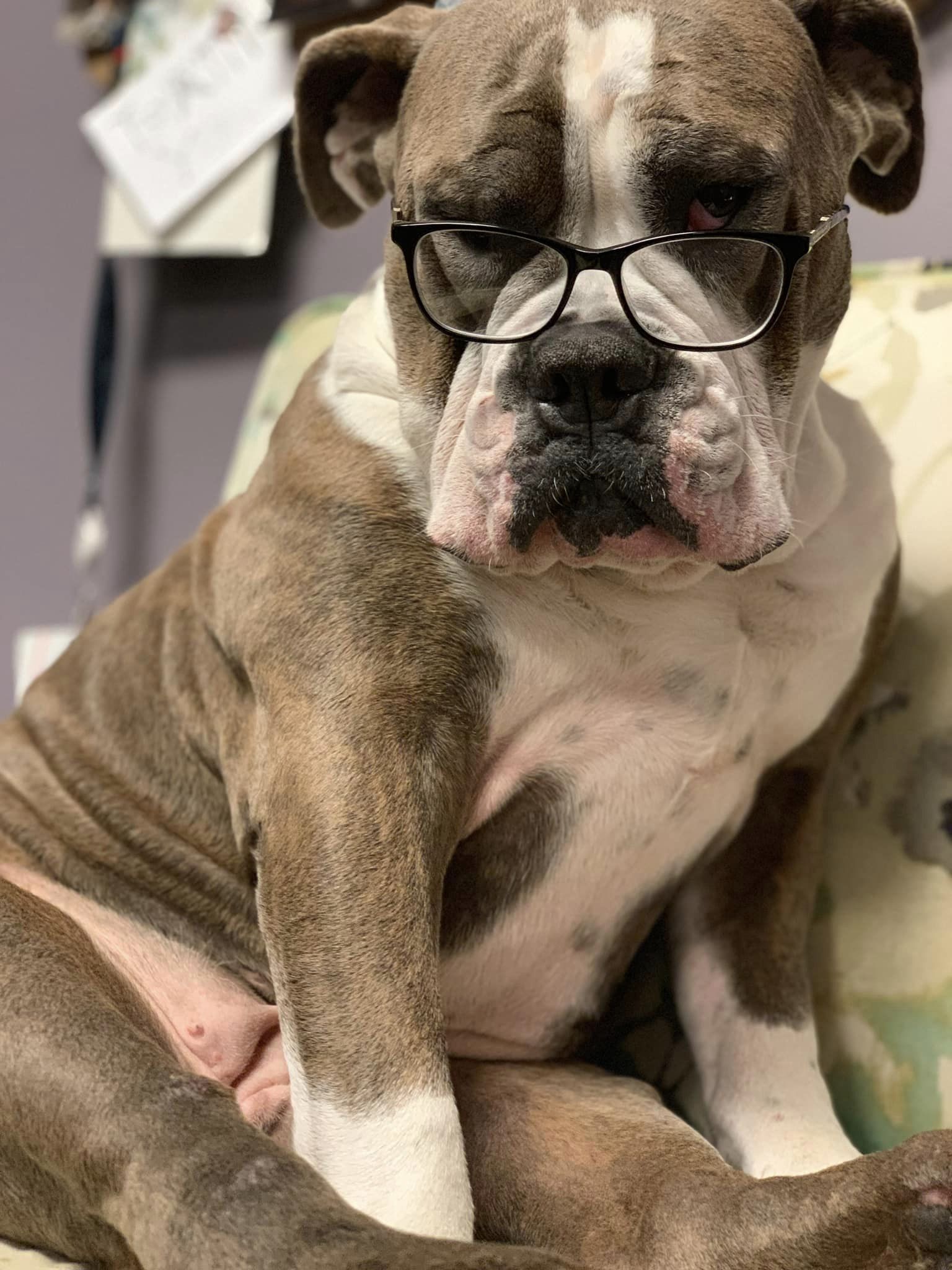 Smartest on in the office.