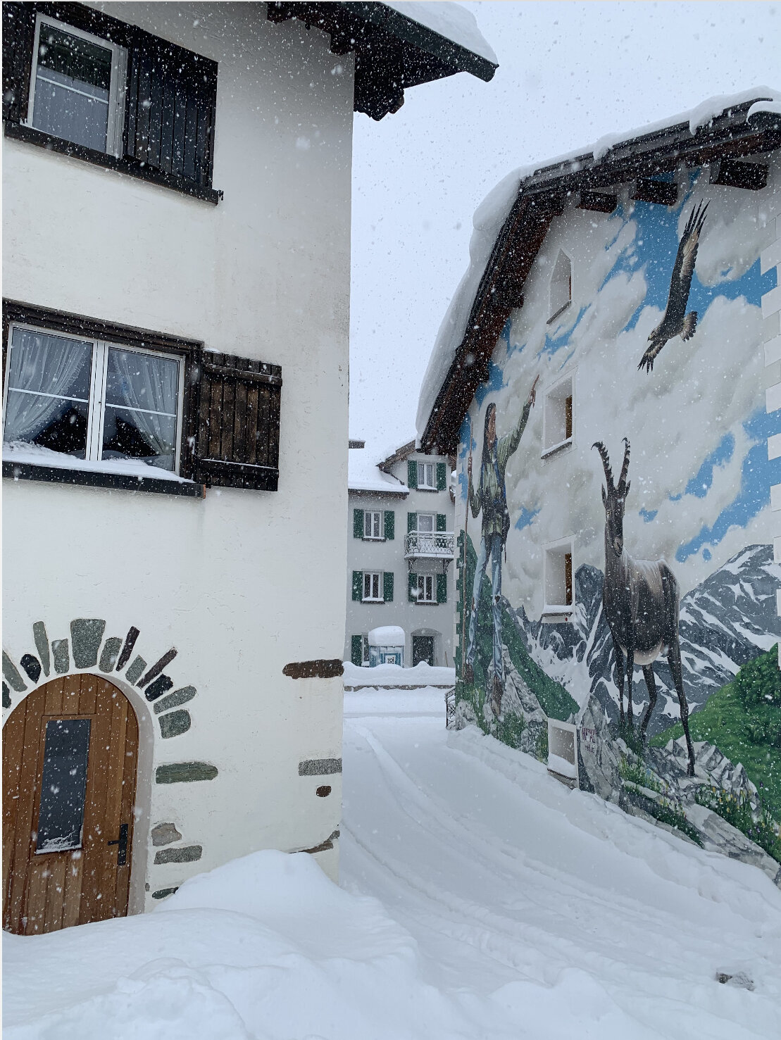 Bilder Ferien in Bivio