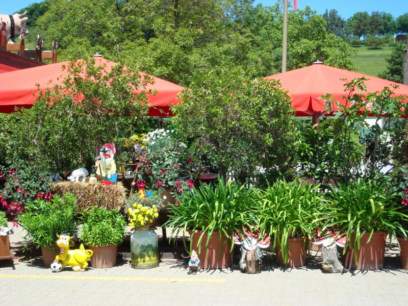 Restaurant Alpenrösli, Höhenstrasse 7 in Pfäffikon