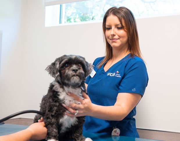 Images VCA Veterinary Hospital of Leon Springs