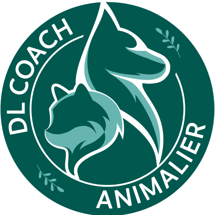 DL Coach Animalier Education et Formation