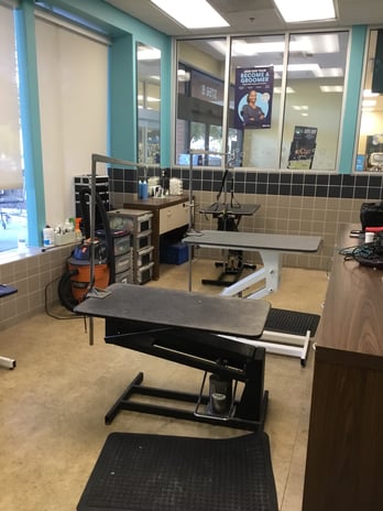 Images Petco