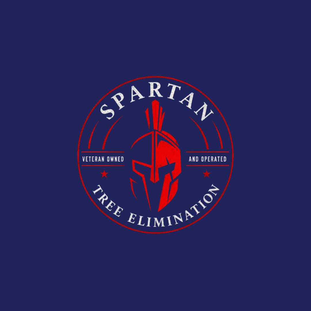 Circular Image