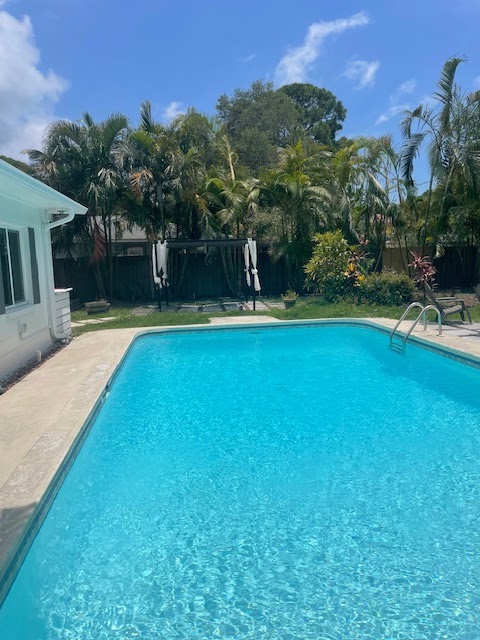 Backyard swimming pool with bright blue water, tropical palm trees, light decking, and a private residential setting.