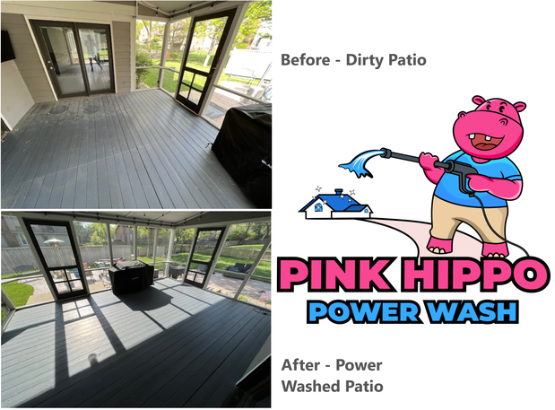 Images Pink Hippo Power Wash