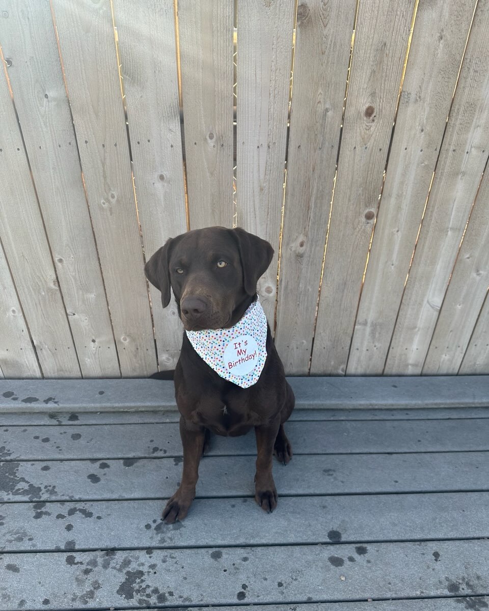 Happy birthday Arnie!